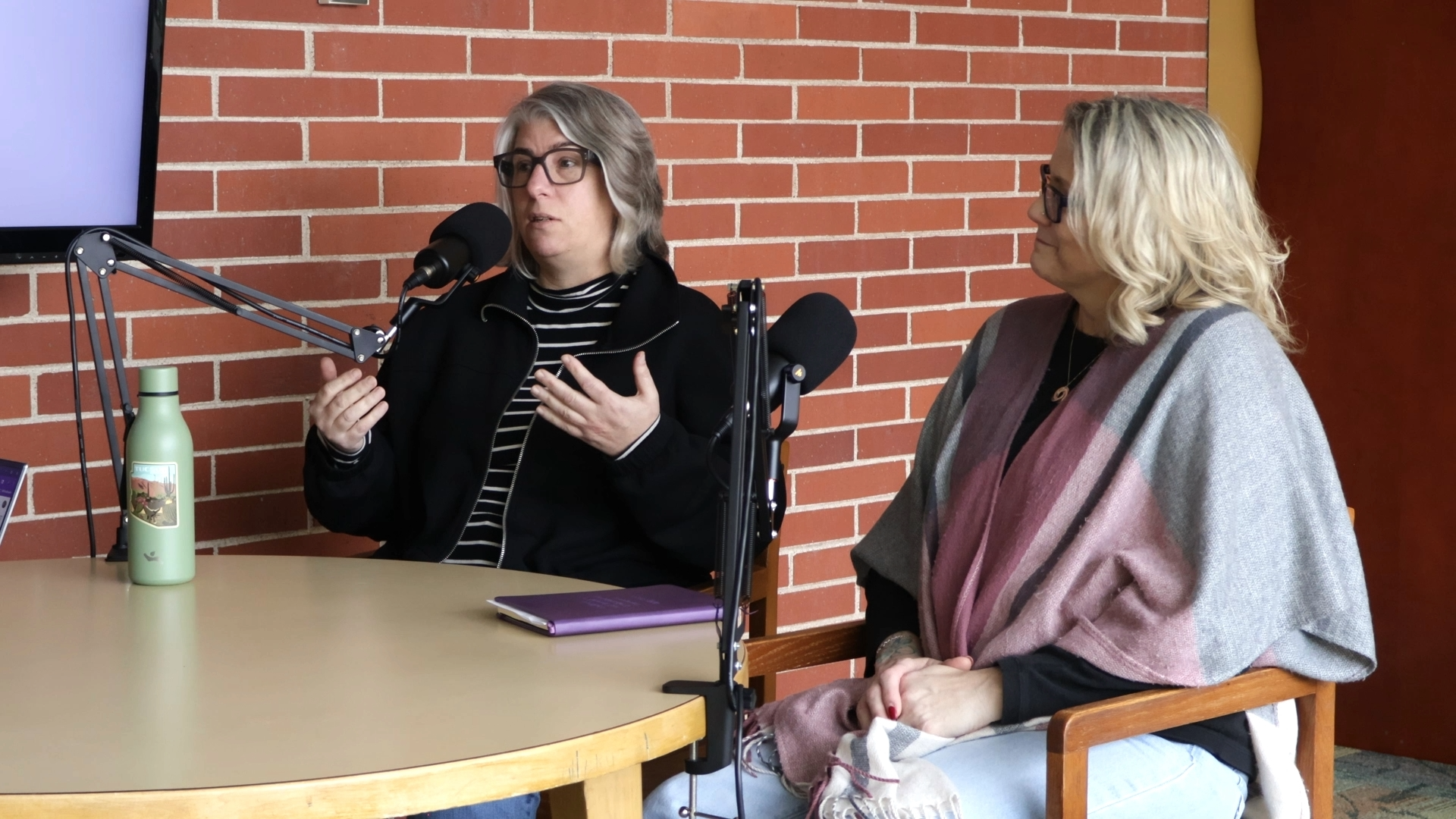 Faculty participating in the podcast